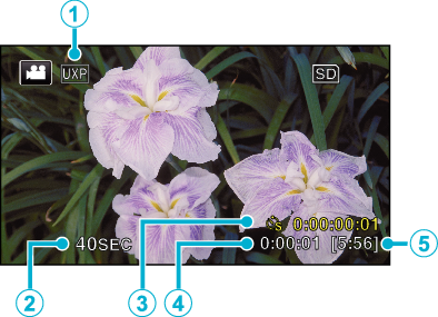 Indications Time-Lapse